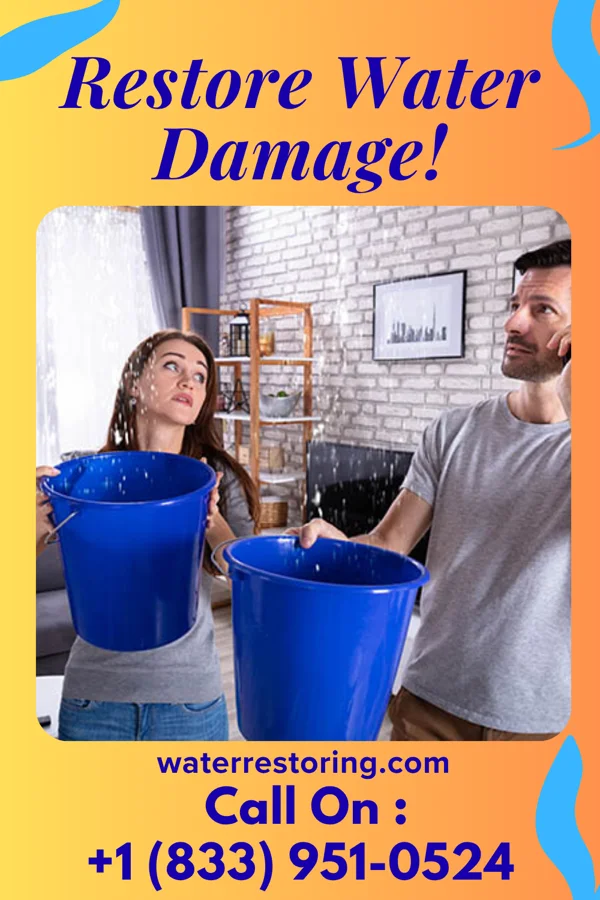 water restoration Royal Mitigation Masters Freeburg