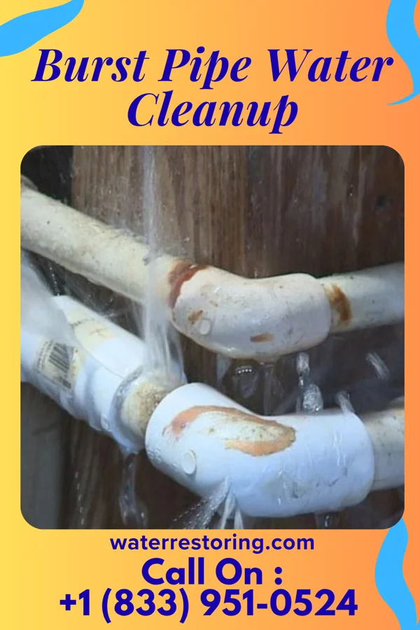 Burst Pipe Water Cleanup in Freeburg, PA