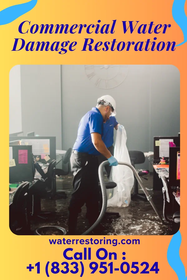 Commercial Water Damage Restoration in Freeburg, PA