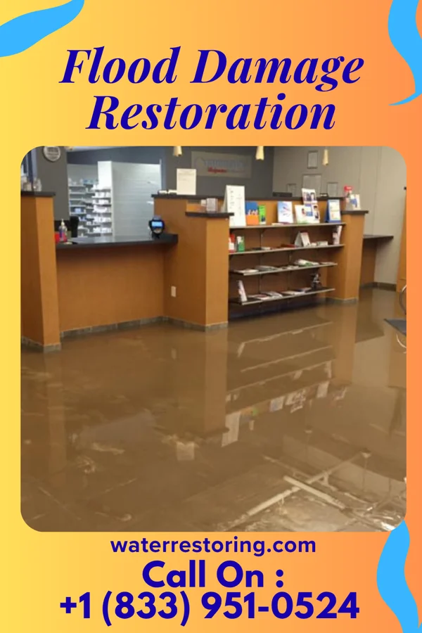 Flood Damage Restoration in Freeburg, PA