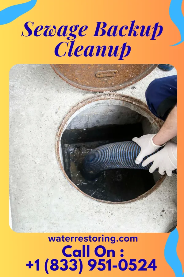 Sewage Backup Cleanup in Freeburg, PA