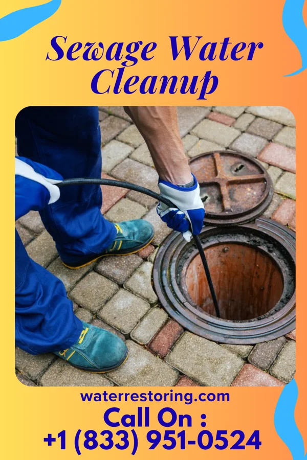 Sewage Water Cleanup in Freeburg, PA